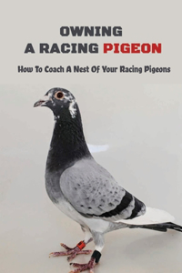 Owning A Racing Pigeon