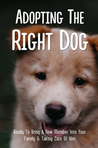 Adopting The Right Dog