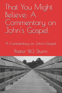 That You Might Believe, A Commentary on John's Gospel