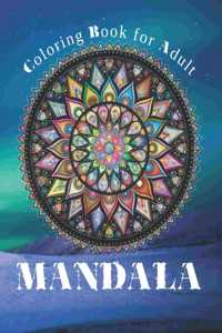 Mandala for Adult