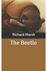 The Beetle