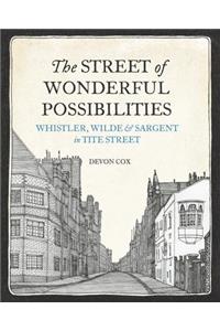 The  Street of Wonderful Possibilities