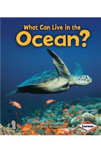 What Can Live in the Ocean?