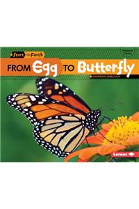 From Egg to Butterfly