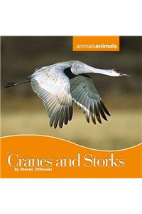 Cranes and Storks