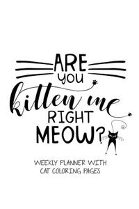 Are You Kitten Me Right Meow? Weekly Planner With Cat Coloring Pages