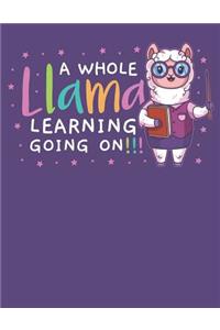 A Whole Llama Learning Going On
