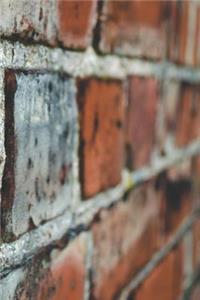 Diario de construcción