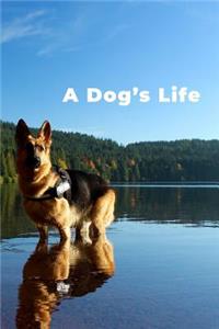 A Dog's Life