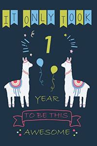 It Only Took 1 Year to be this Awesome