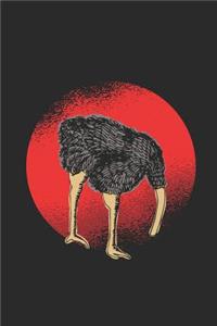 Ostrich Under Ground Head