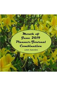Month of June 2019 Planner/Journal Combination