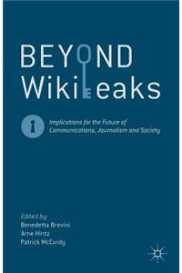 Beyond Wikileaks