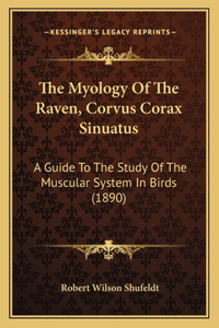 The Myology of the Raven, Corvus Corax Sinuatus