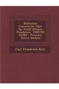 Biblischer Commentar Uber Die Zwolf Kleinen Propheten, Vierter Band - Primary Source Edition