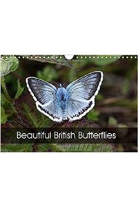 Beautiful British Butterflies 2017