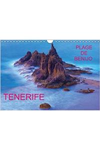 Tenerife Plage De Benijo 2018