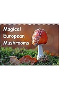 Magical European Mushrooms 2018