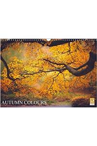 Autumn Colours 2018