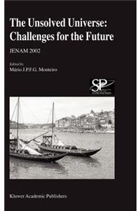 The Unsolved Universe: Challenges for the Future