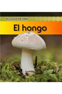 El Hongo