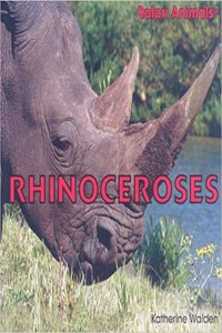 Rhinoceroses