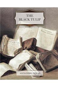 Black Tulip