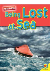 Being Lost at Sea