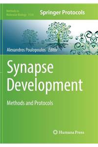 Synapse Development