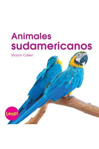 Animales Sudamericanos