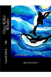 Orca Killer Whales