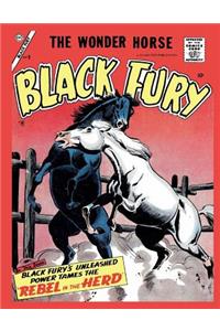 Black Fury # 9