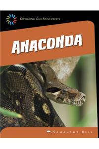 Anaconda