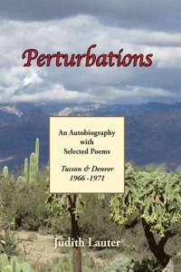 Perturbations