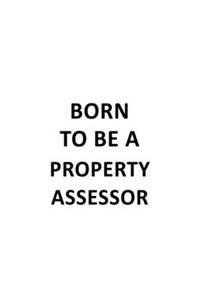 Born To Be A Property Assessor