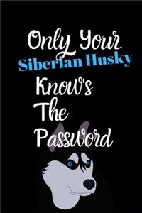 Only Your Siberian Husky Knows The Password