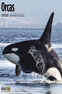 ORCAS WALL CALENDAR 2020