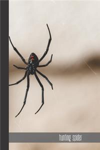 Hunting spider