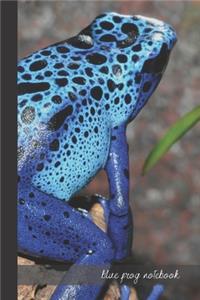 blue frog notebook