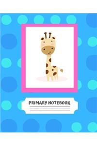 Primary Notebook