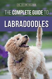 Complete Guide to Labradoodles