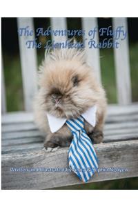 The Adventures of Fluffy The Lionhead Rabbit