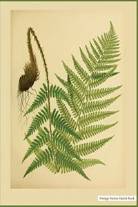 Nature Sketch Book