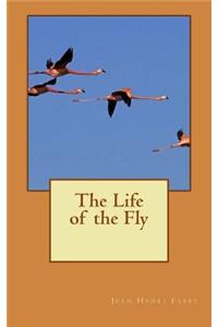 The Life of the Fly