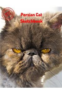 Persian Cat Sketchbook