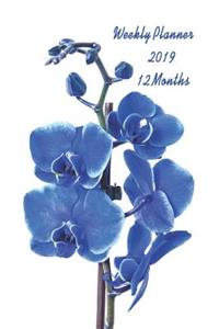 Weekly Planner 2019 12 Months