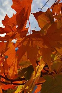 Fall 2019 Weekly Planner Orange Leaves Mountain Sunrise 134 Pages