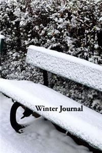 Winter Journal