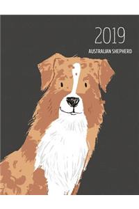 2019 Australian Shepherd