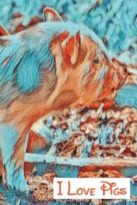 I Love Pigs